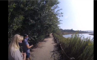 Virtual Hike at San Elijo Lagoon Ecological Reserve and Nature Center